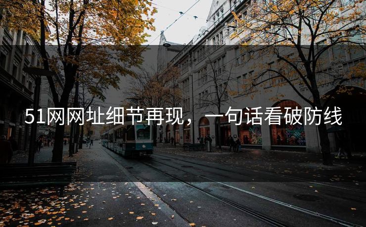 51网网址细节再现，一句话看破防线