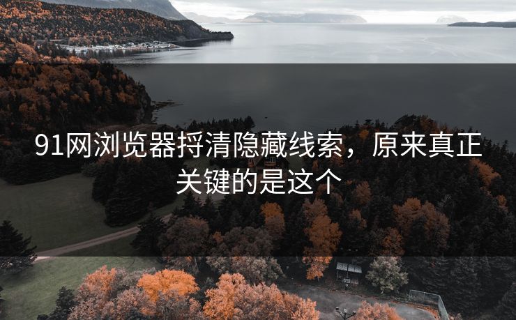 91网浏览器捋清隐藏线索,原来真正关键的是这个 91网浏览器捋清隐藏线索,原来真正关键的是这个